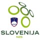 Slovenien landslagströja