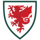 Wales VM 2022 Män